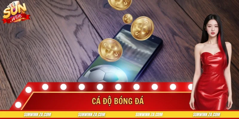 Cá Độ Bóng Đá SUNWIN - Tư Duy Cược Thông Minh Dài Hạn