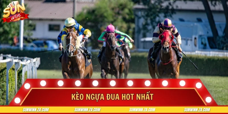 Kèo ngựa đua hot nhất
