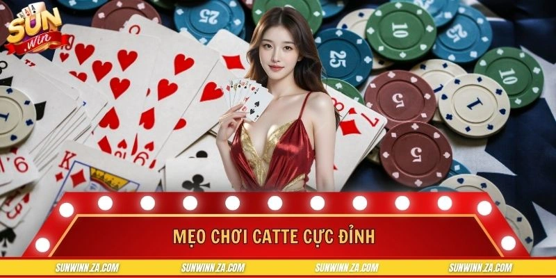 Mẹo chơi cực đỉnh dành cho hội viên đam mê cược catte